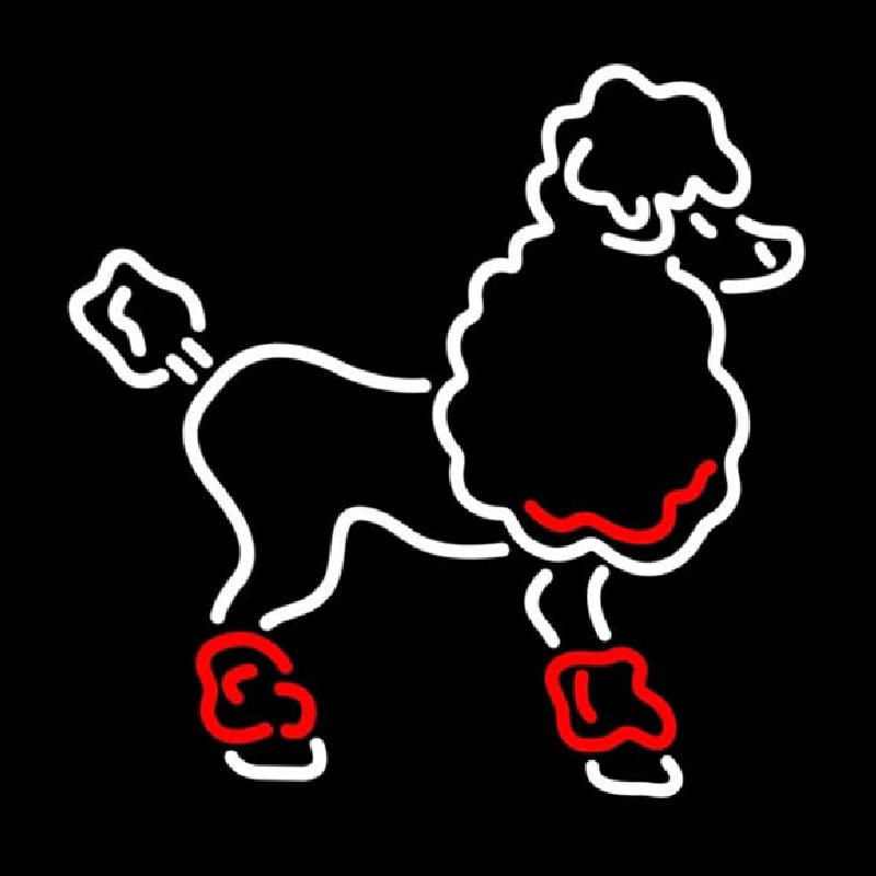 Poodle Neontábla