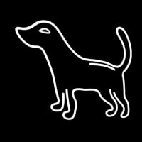 Logo Dog 1 Neontábla