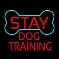 Red Dog Training Block 1 Neontábla